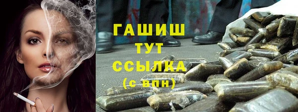 метадон Няндома