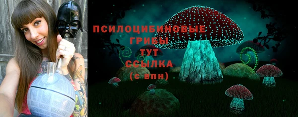 соль ск Вязьма