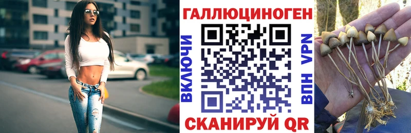 Галлюциногенные грибы Psilocybe  как найти закладки  Нахабино 
