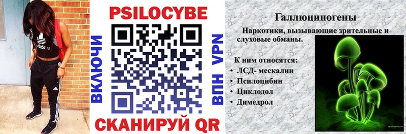 Галлюциногенные грибы Psilocybe Нахабино